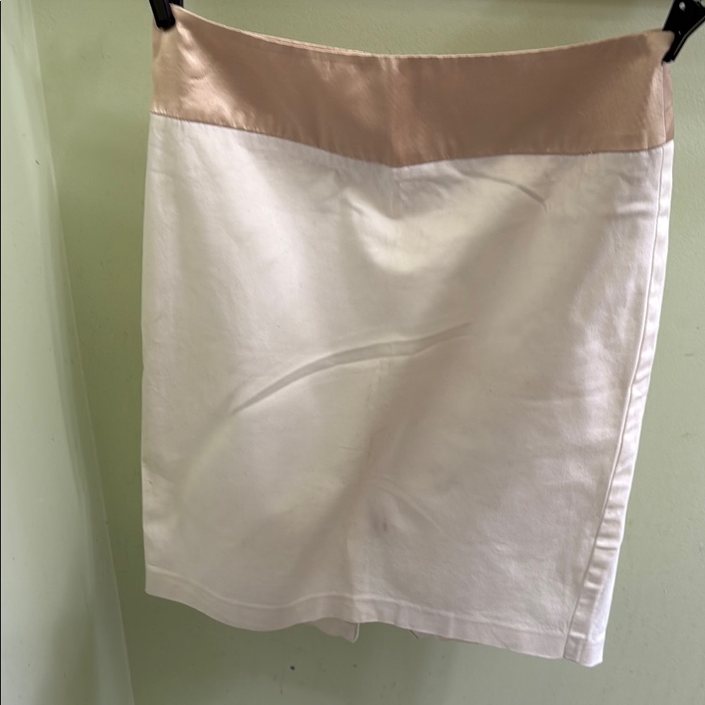 Elegant White and Tan Women's Skirt